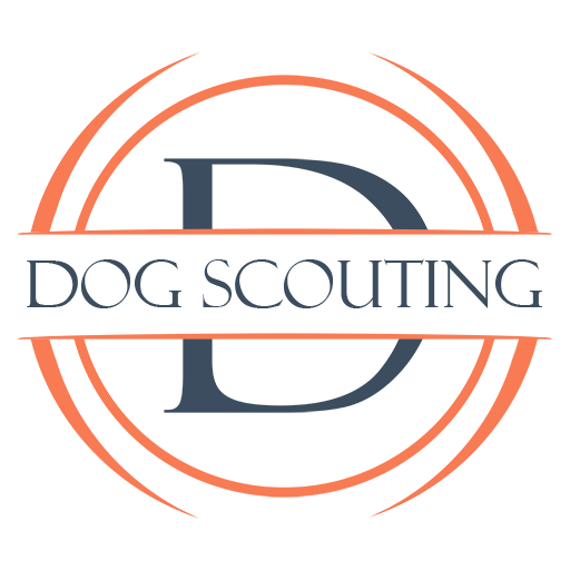 Dog Scouting